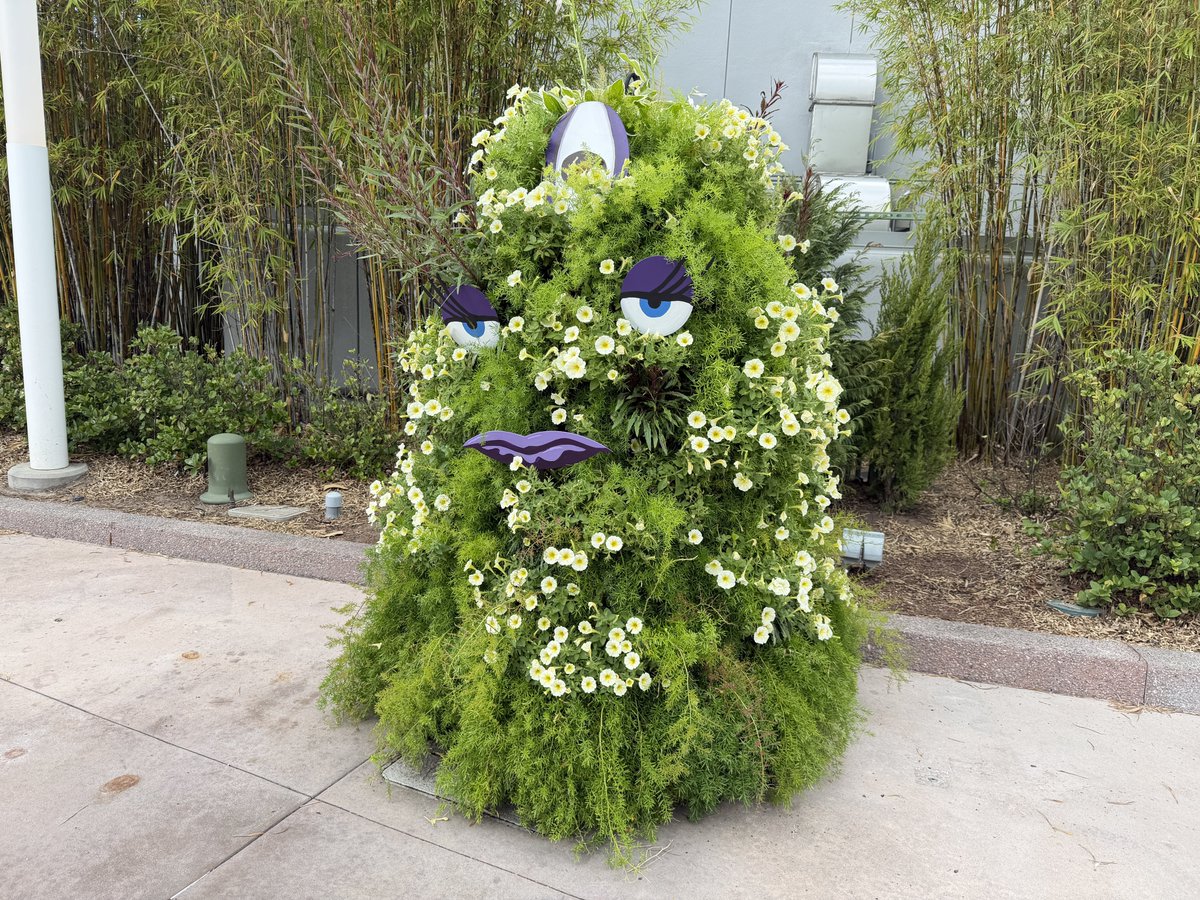 Alicia Stella tweet media