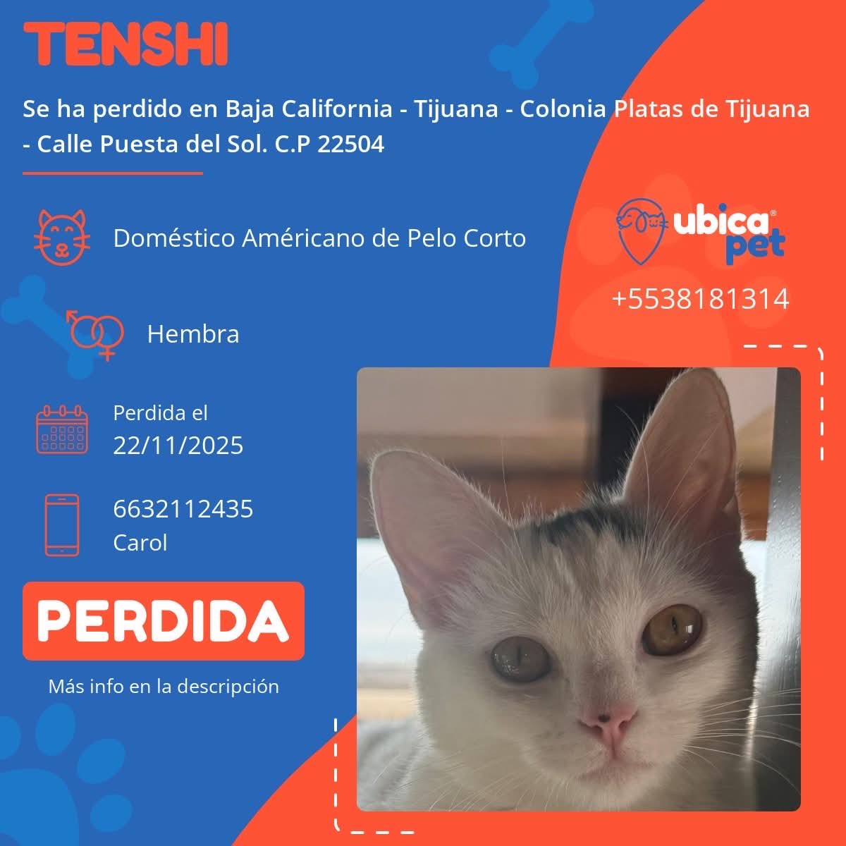 UBICAPET MÉXICO tweet media