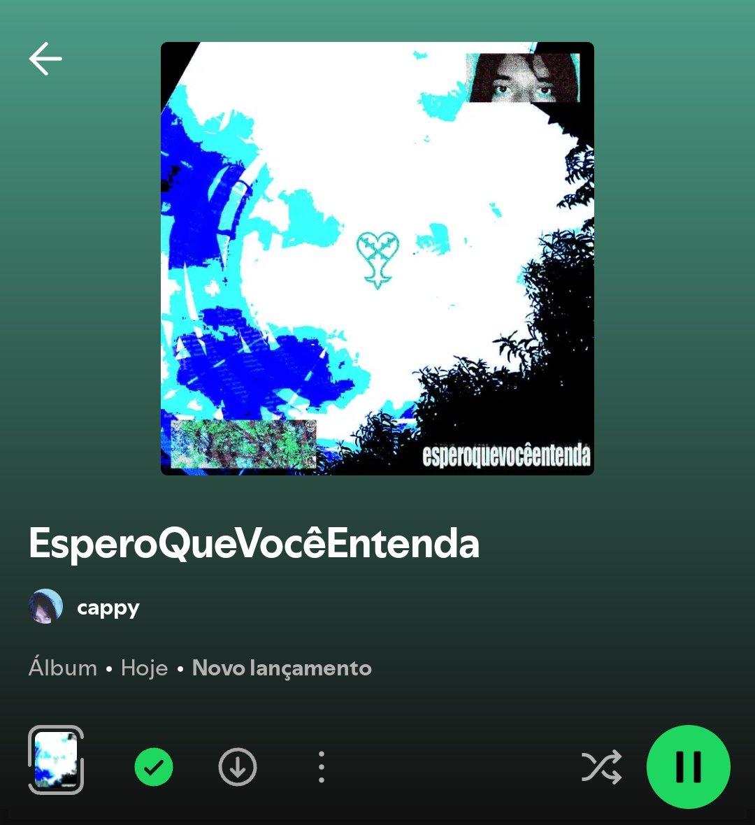 a cappy 🦇 tweet media