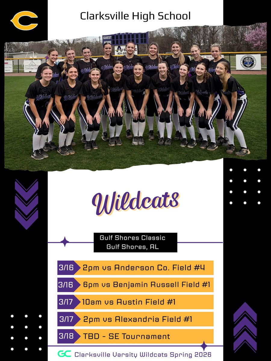 CHS Softball tweet media