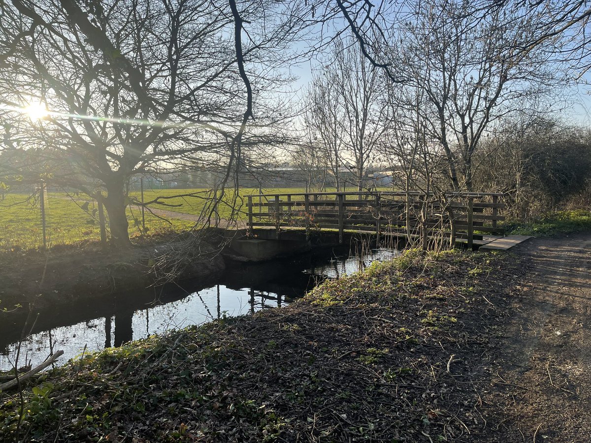 Ashleigh tweet media