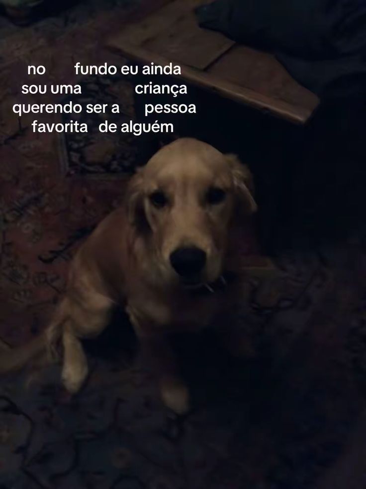 iti malias (@itimaliasof) on Twitter photo 