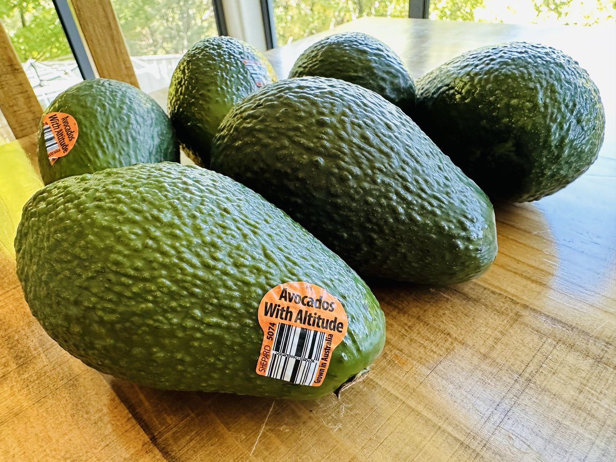 Rachael Jefferson, PhD, PFHEA 🇬🇧🇦🇺💃🚴♀️🏃♀️ tweet media