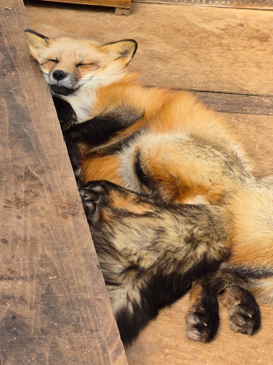 幸せそうなお顔