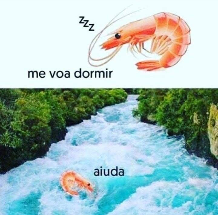 Es buenísimo porfavor