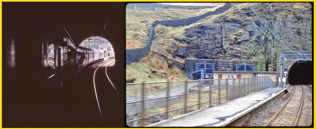 The Woodhead Route tweet media