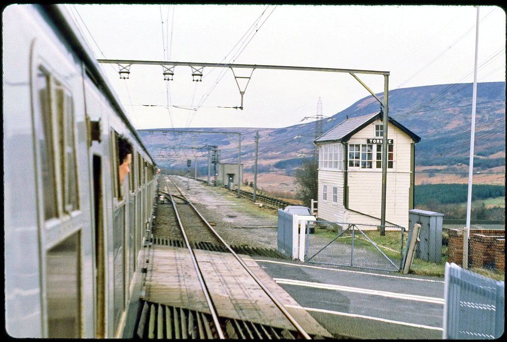 The Woodhead Route tweet media