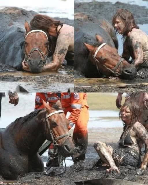 Mr PitBull tweet media