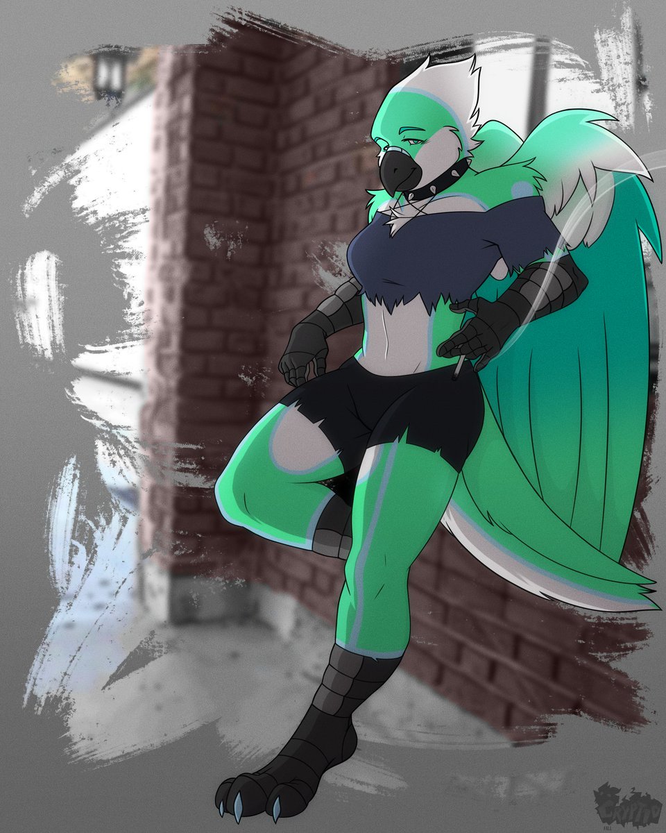 Mercy The Bird 🐦 tweet media