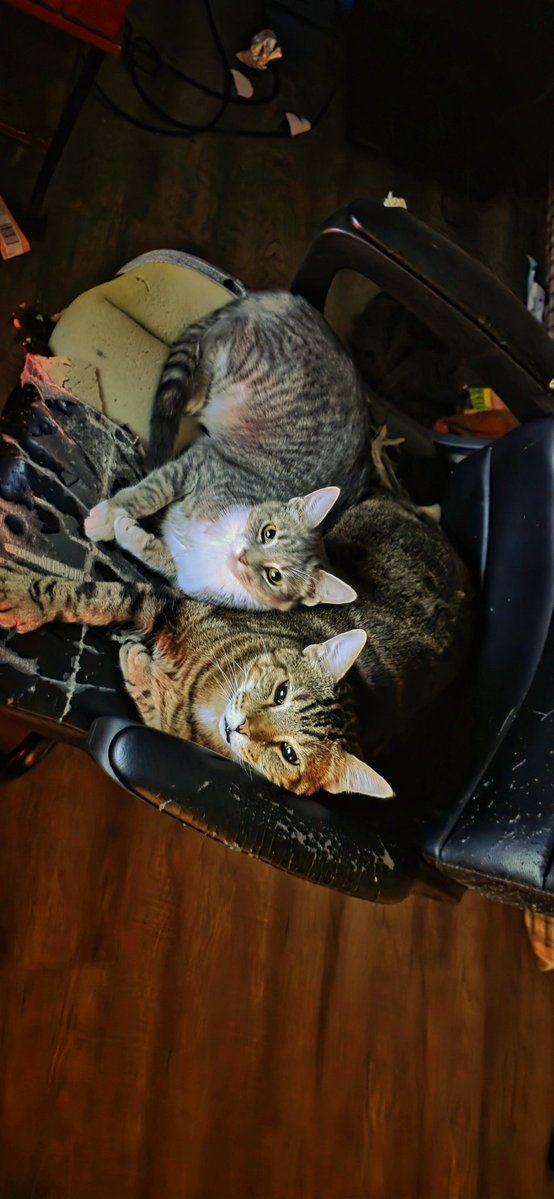 Legit Liquid 🌊🇺🇦 tweet media