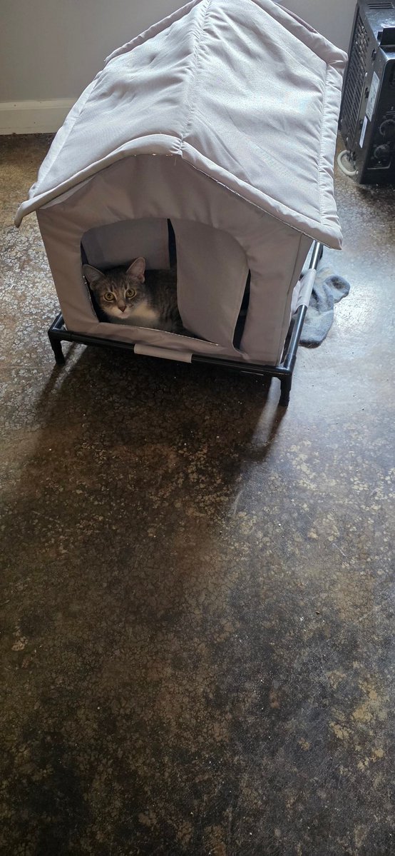 Legit Liquid 🌊🇺🇦 tweet media