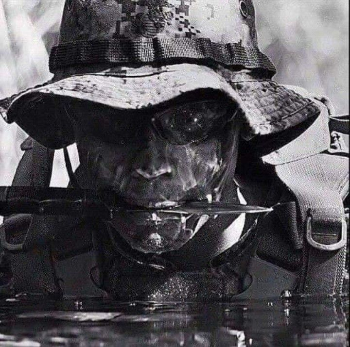 𝙉𝙞𝙛 tweet media