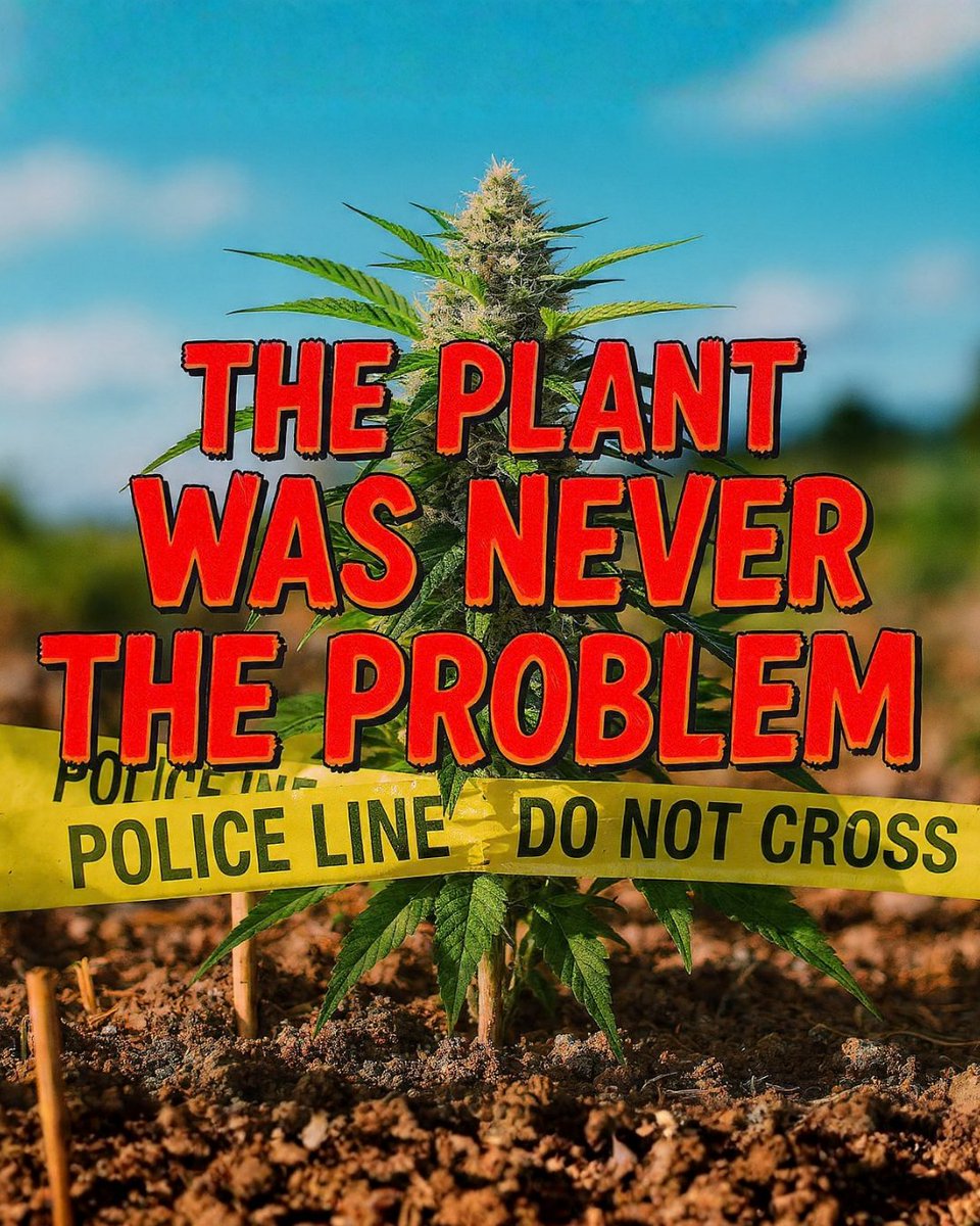 This picture makes you think about what's actually causing trouble. When something natural gets caught up behind warning tape, it's often the rules that are the real barrier, not the thing itself. We should be focused on building up communities, not holding back progress. Fair