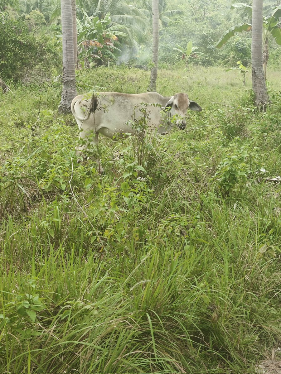 セバ 🔞 tweet media