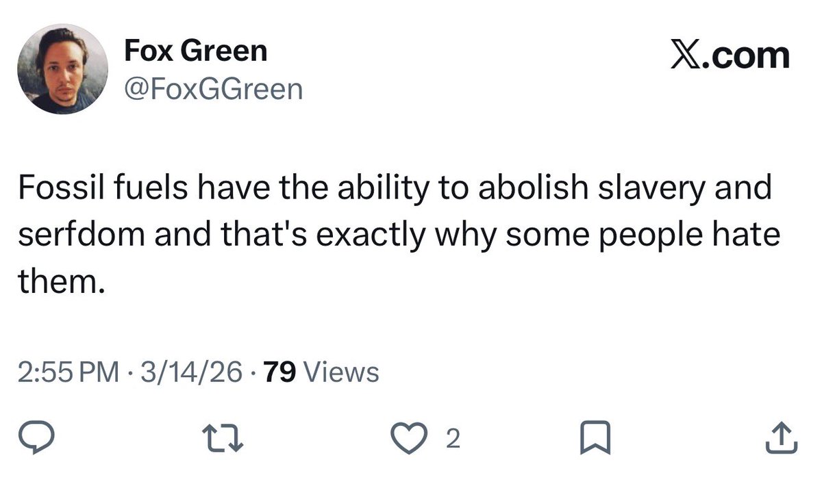 Fox Green tweet media