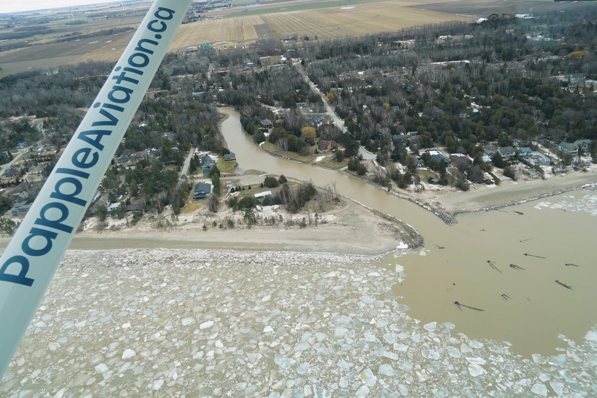 Papple Aviation tweet media