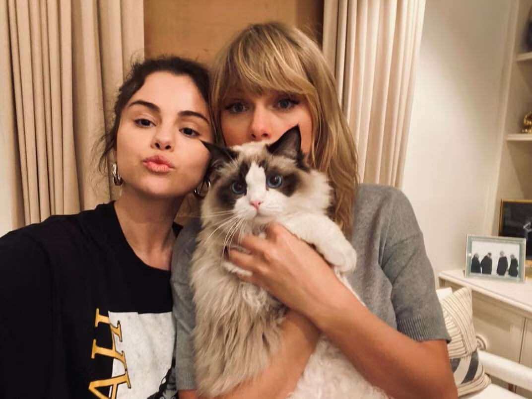 chef cale 🐍 ᗢ | 🥬 | a victim tweet media