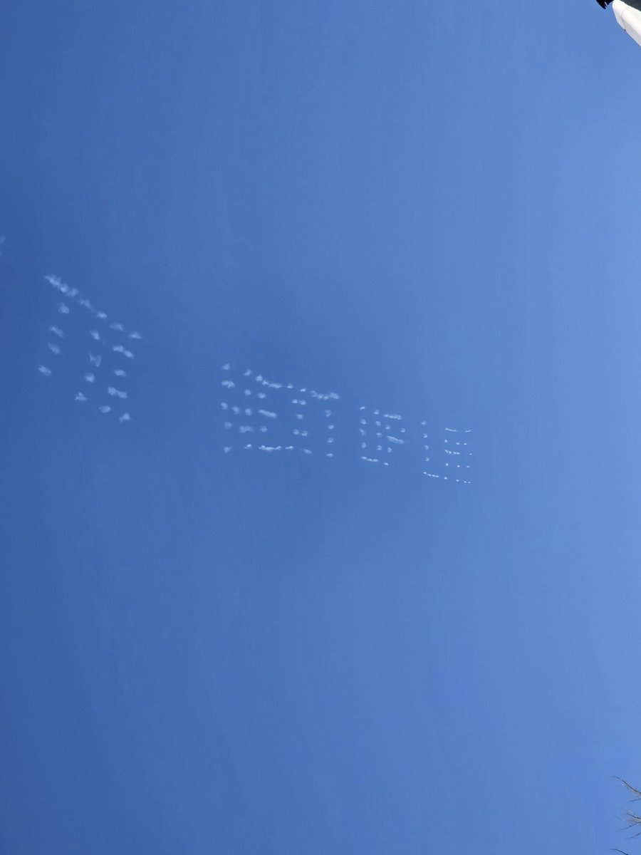 SFV Scanner tweet media