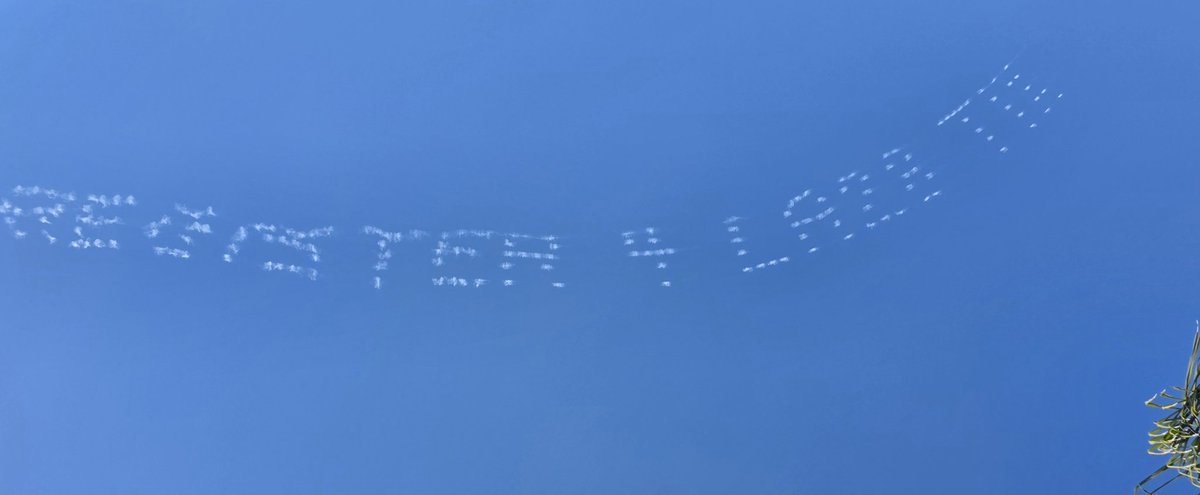 SFV Scanner tweet media