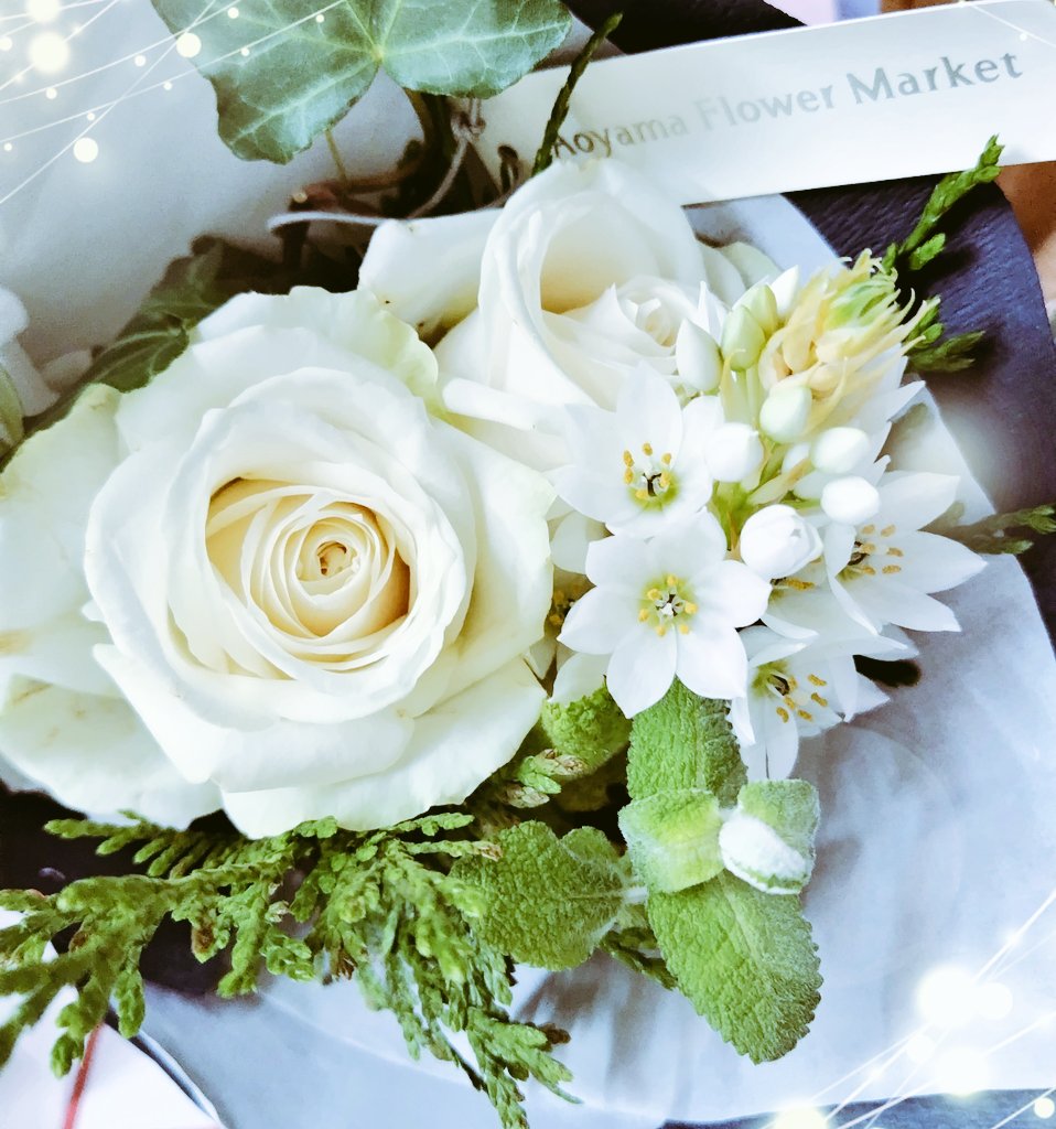 ゆづるみ谷🦄🪽💙🤍 tweet media