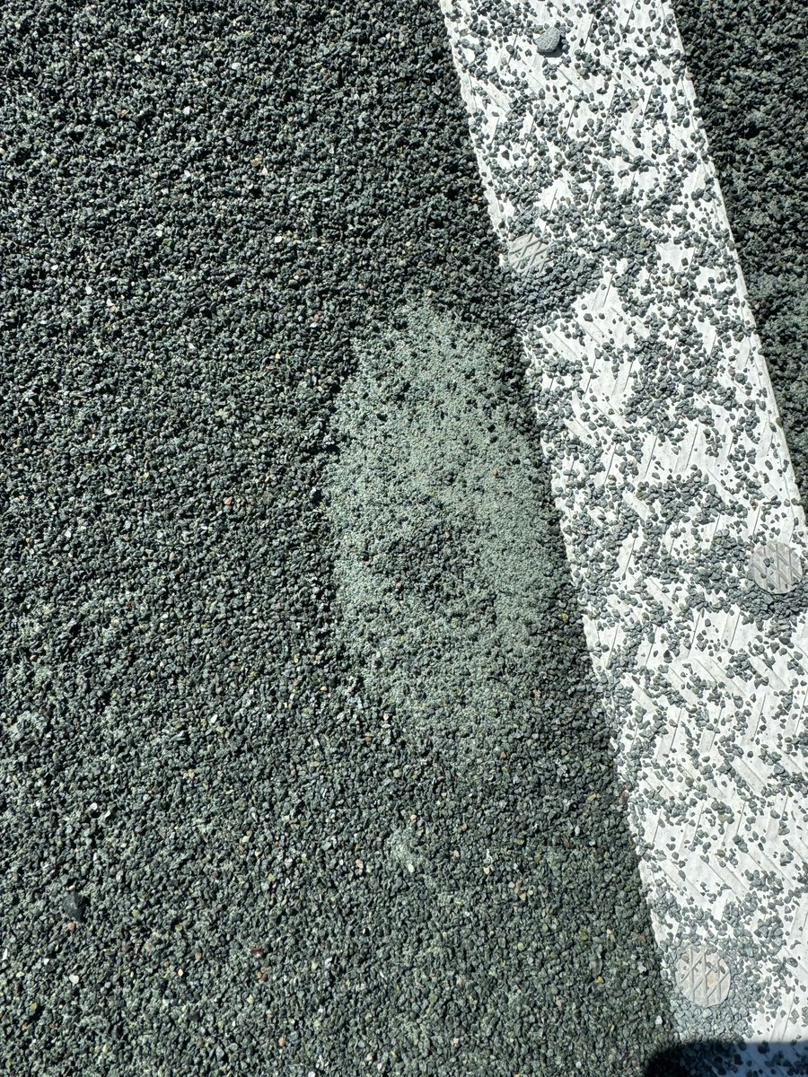 Paternal Legacy tweet media