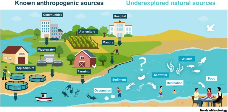 Trends in Microbiology tweet media