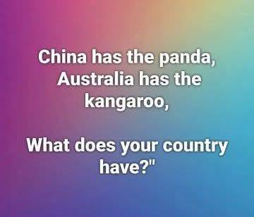 In Otter News.... tweet media