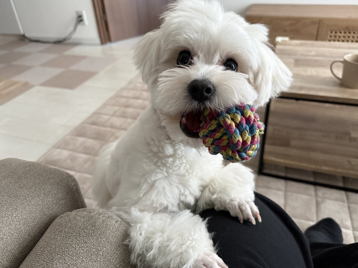 きなり tweet media