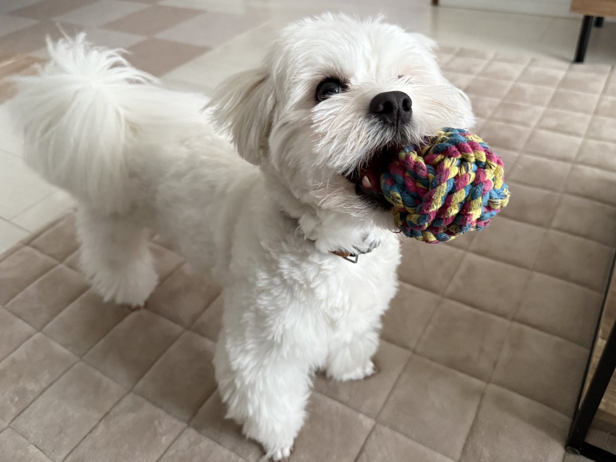 きなり tweet media