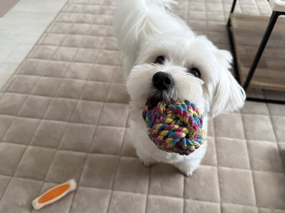 きなり tweet media