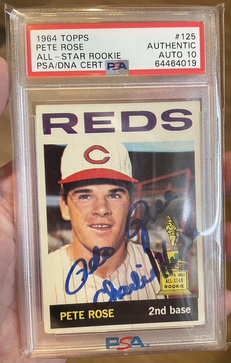 The 308 Collection tweet media