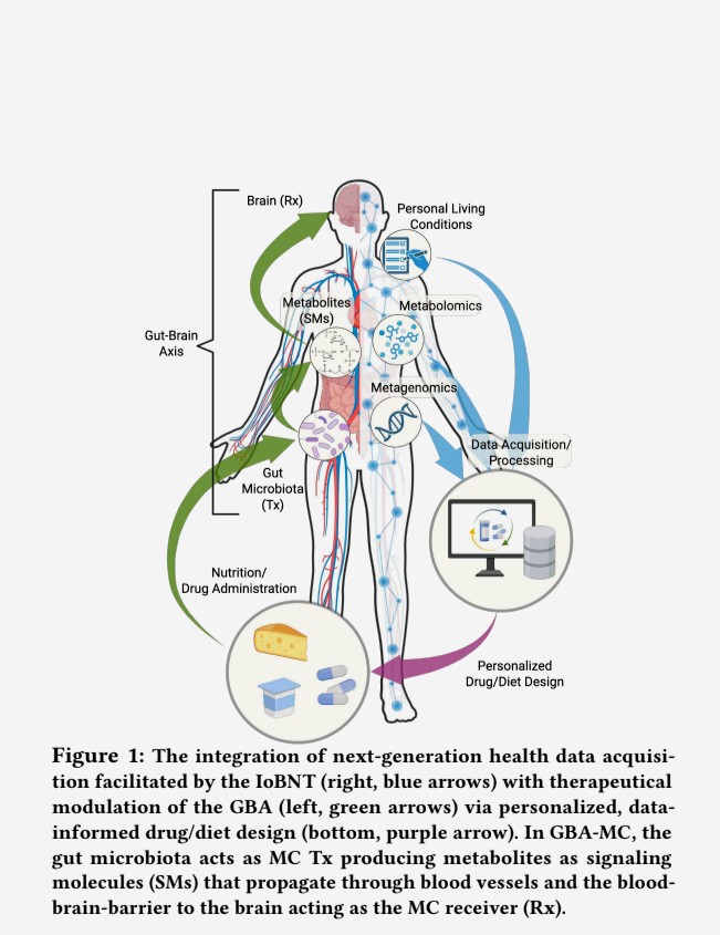 Ryansikorski10's tweet photo. The digital nobility and the elite are tapping into people's vagus nerve for a bi-directional wireless communication mechanism for the Internet of BioNano Things (IoBNT). They are utilizing the gut-biome-brain-axis to control the mind thru the gut and vice versa.

Microbiome-Gut-Brain Axis (MGBA) as a Biomolecular Communication 
Network for the Internet of Bio-NanoThings

This article discusses the utilization of the MGBA as an IoBNT communication network infrastructure to transmit and receive information generated by and/or directed to electronic and biological devices where this infrastructure is also envisioned to communicate with the external environment through dedicated molecular (alimentary canal) and electrical (wireless data transfer through skin) interfaces.

https://t.co/NZJyf3hvgO

Synthetic Molecular Communication (MC) via Biological Transmitters: Therapeutic Modulation of the Gut-Brain Axis

Synthetic molecular communication (SMC) is a key enabler for future healthcare systems in which Internet of Bio-Nano-Things (IoBNT) devices facilitate the continuous monitoring of a patient’s biochemical signals. To close the loop between sensing and actuation in these systems, both the detection and the generation of in-body molecular communication (MC) signals is key. 

However, generating signals inside the human body, e.g., via synthetic nanodevices, still poses a major research challenge in SMC, due to technological obstacles as well as legal, safety, and ethical issues. In contrast to many existing studies, this paper considers an SMC system in which signals are generated indirectly via the modulation of a natural in-body MC system, namely the gut-brain axis (GBA).

We propose to leverage personal health data, e.g., data gathered by in-body IoBNT devices, to overcome this research gap and design more versatile and robust GBA modulation-based treatments as compared to the existing ones. 

To show the feasibility of our approach, we first define a catalog of theoretical requirements for therapeutic GBA modulation. Then, we propose a machine learning model to verify these requirements for practical scenarios when only limited data on the GBA modulation is available. By evaluating the proposed model on several published datasets, we confirm its excellent accuracy in identifying different modulators of the GBA. Finally, we utilize the proposed model to identify specific modulatory pathways that play an important role for therapeutic GBA modulation.

https://t.co/gc76D1NTy6