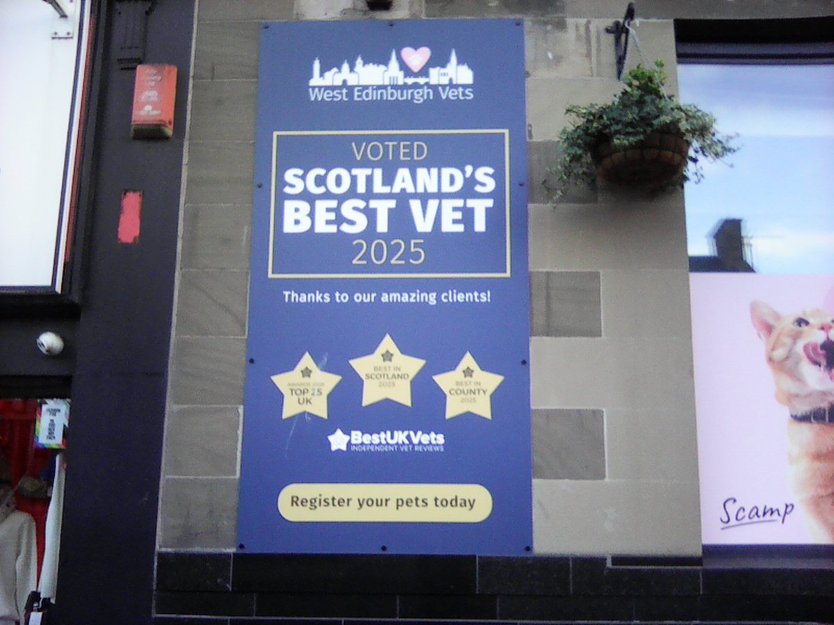 Citizen GrimRealist Snagging, Esq. tweet media