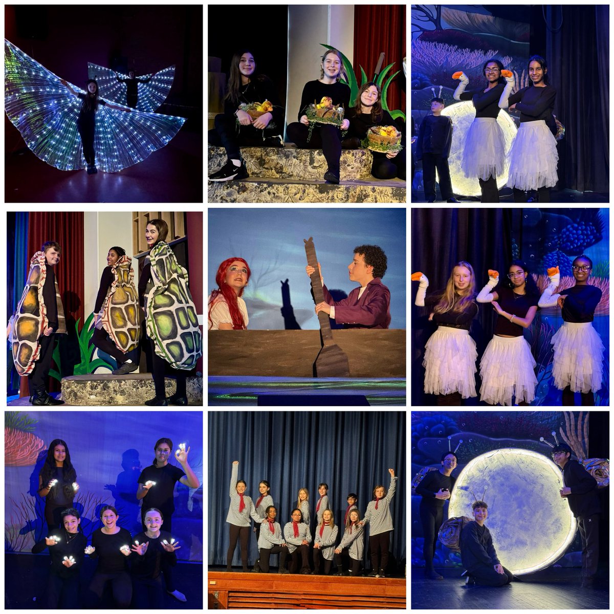 Madison MS tweet media