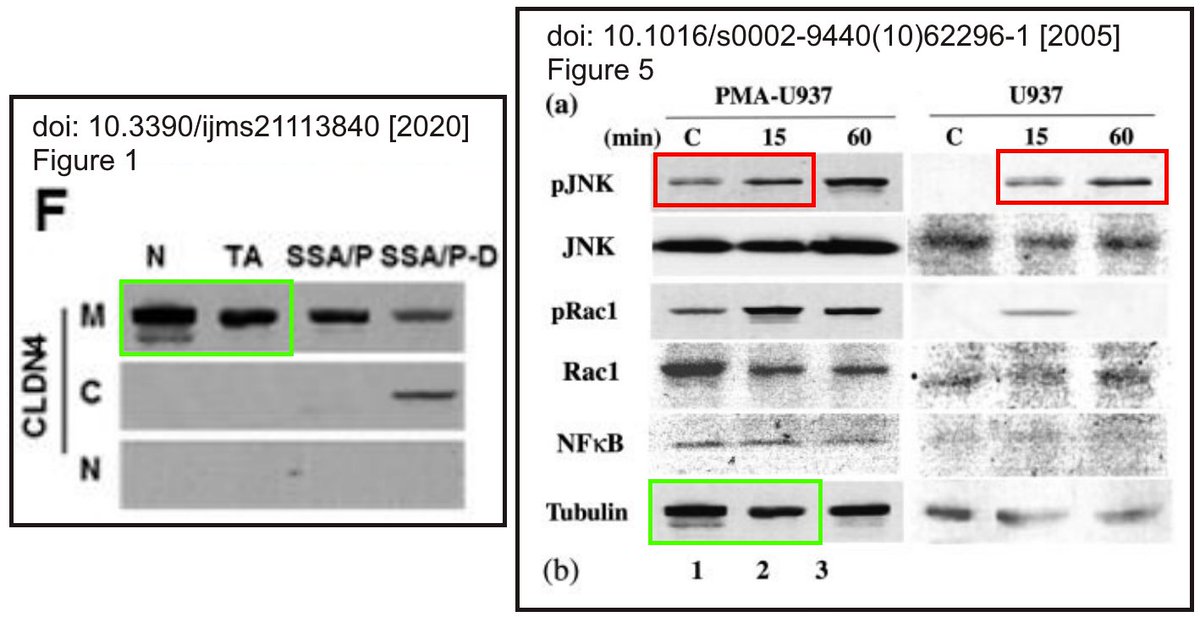 白楽ロックビル tweet media