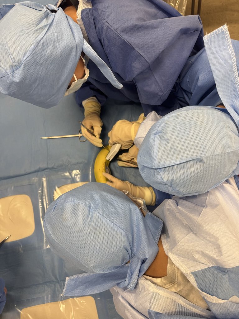 LauraRosenbergerMD tweet media