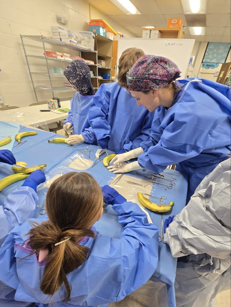 LauraRosenbergerMD tweet media