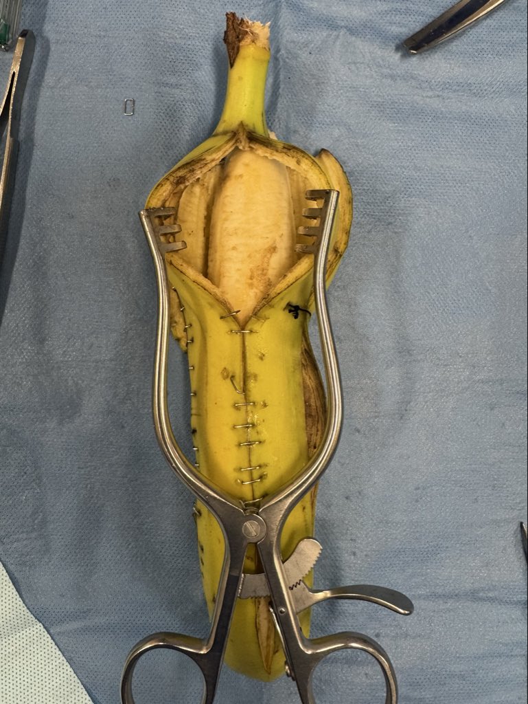 LauraRosenbergerMD tweet media