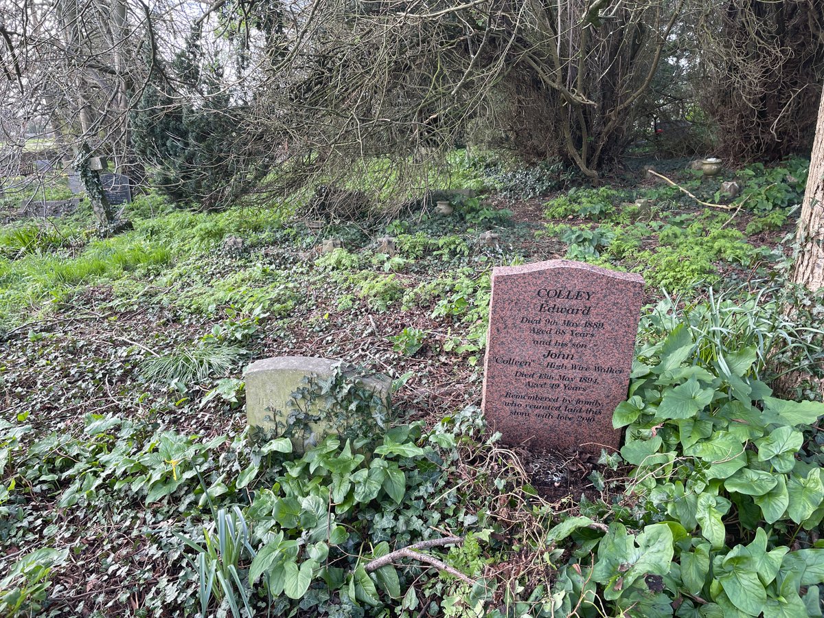 Catrin Meredith tweet media