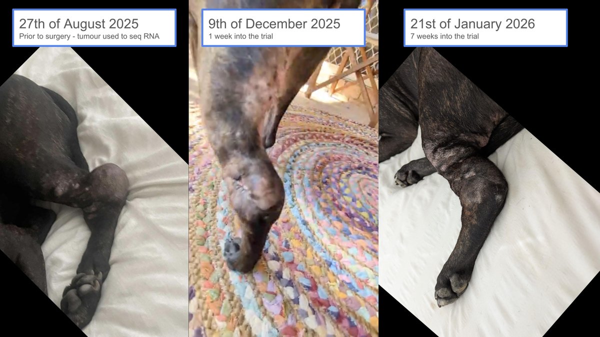 Paul S. Conyngham tweet media