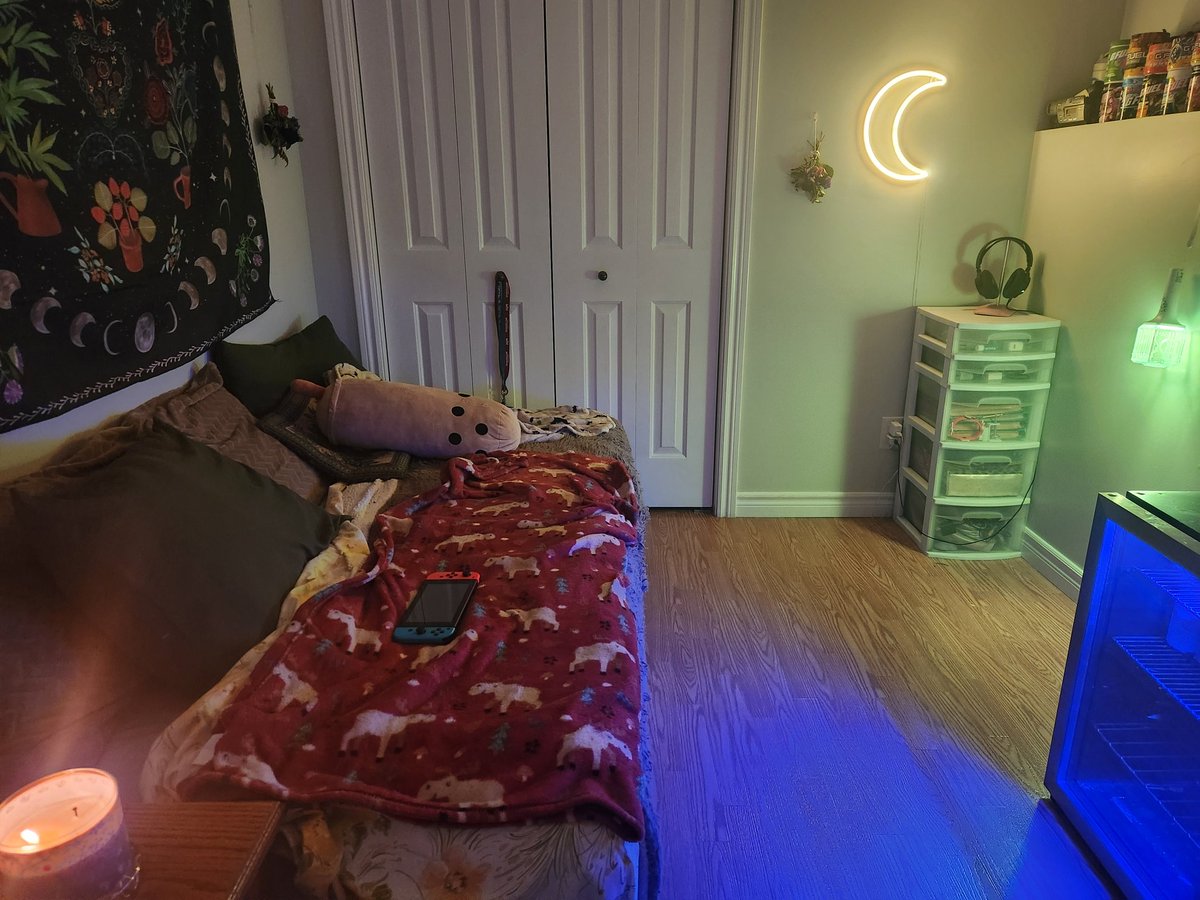 spoooky ⁺˚⋆｡°🍄🕸️୨୧ tweet media