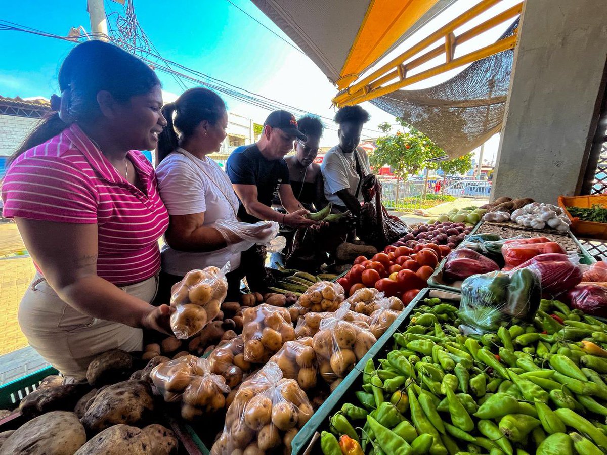 Ana Maria Aljure tweet media