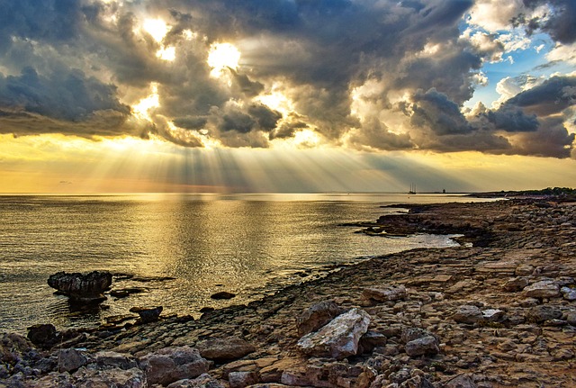 Rodney Sealy tweet media