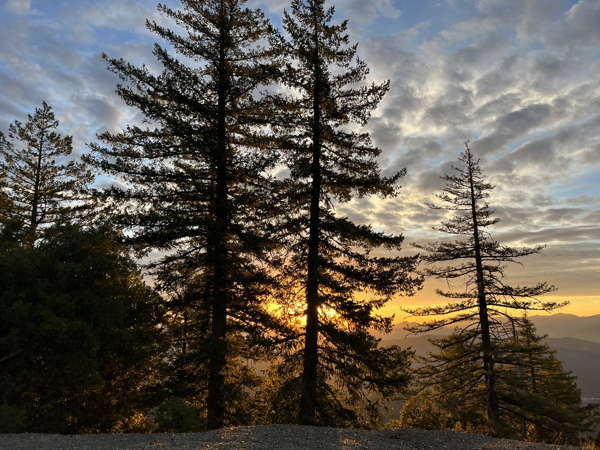 DonEDavie's tweet photo. Going through my photos, love some of these dusk shots.
#dusk #photo #sun #ihatehashtags https://t.co/CQS9k9fKYL
