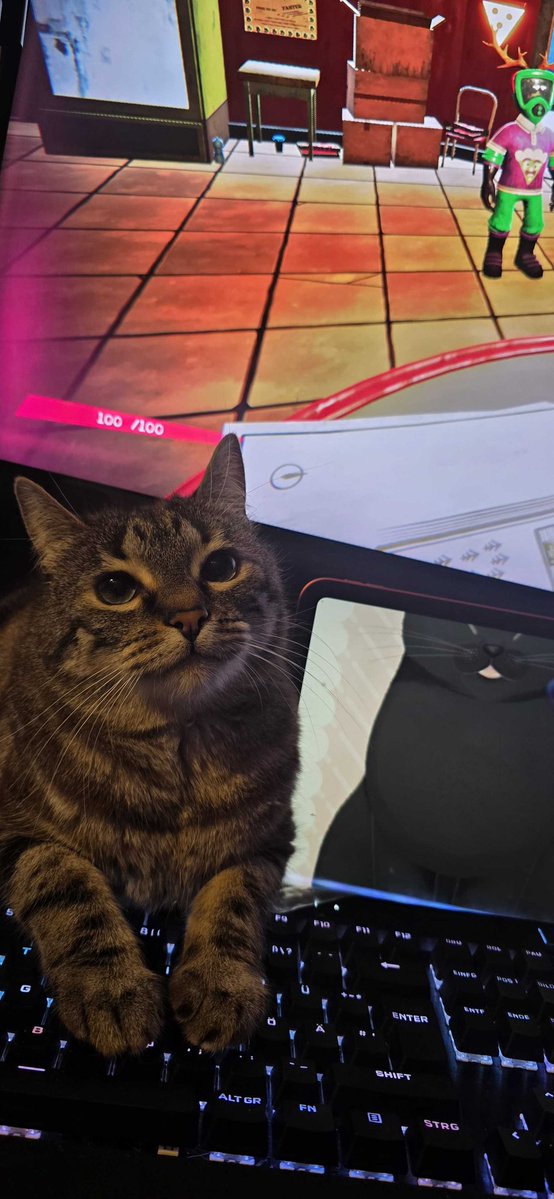 Darling 🌸 (ger/eng Vtuber) tweet media