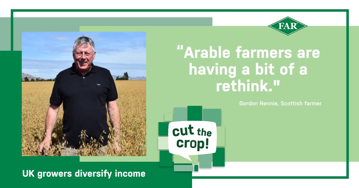 Foundation for Arable Research (NZ) tweet media