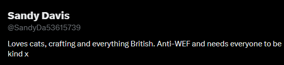 Academic Agent tweet media