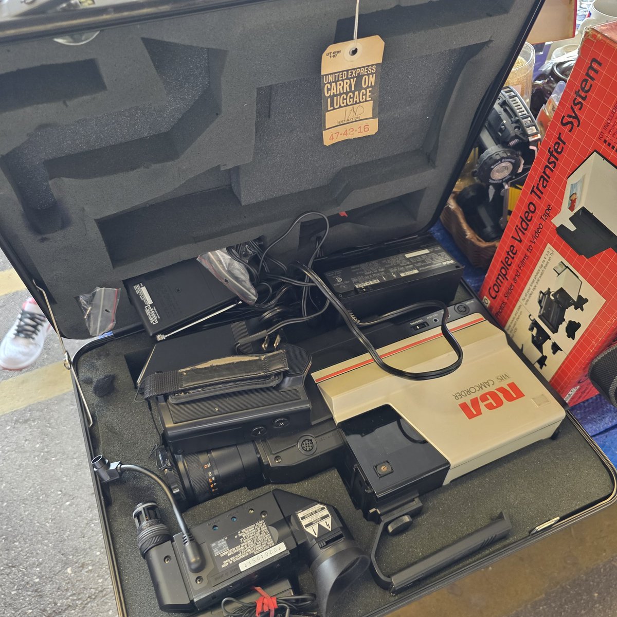 Twilight Husky tweet media