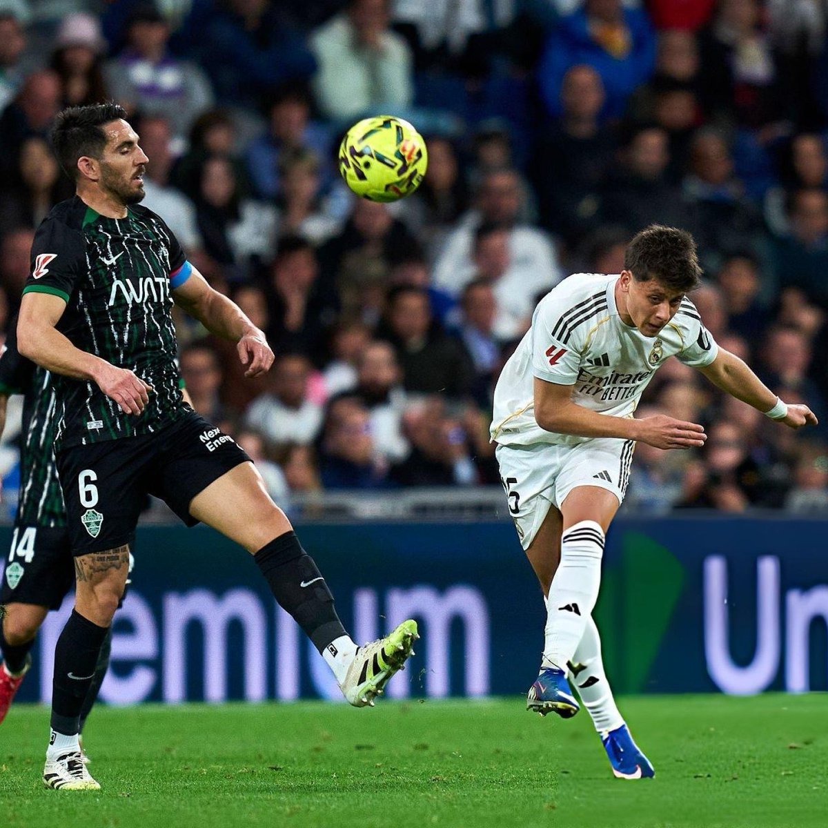 Pusholder tweet media