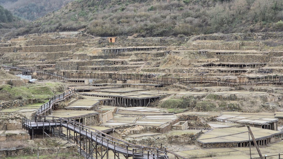 atxikia ✨🍀🩷 tweet media